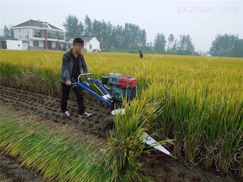 茎秆类收割机 水稻割晒机视频-曲阜市正达农业机械制造